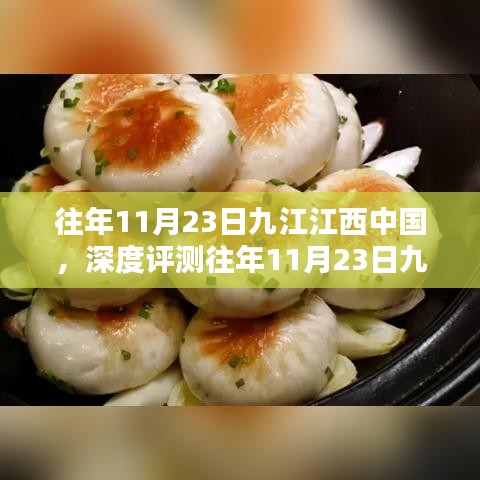 第2966页