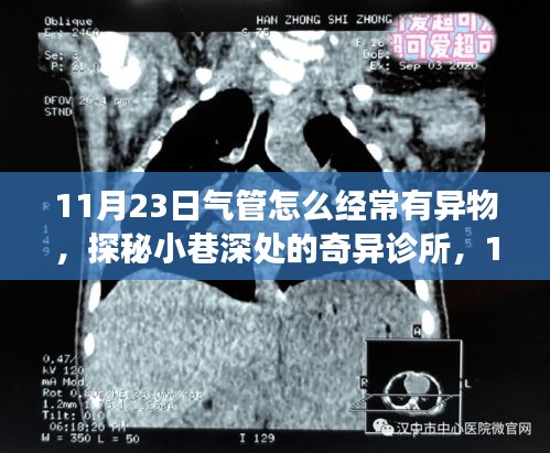 探秘小巷深处的奇异诊所，揭秘气管异物频发背后的真相，11月23日实录