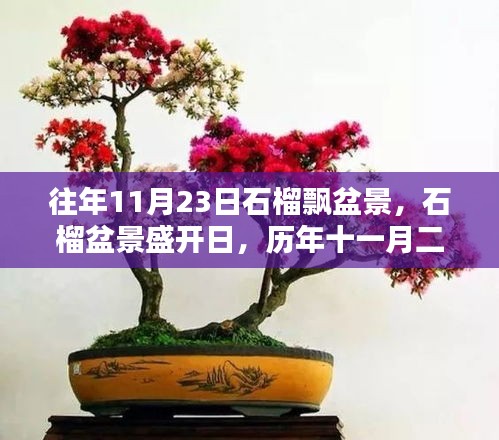 网店开店宝APP 第504页