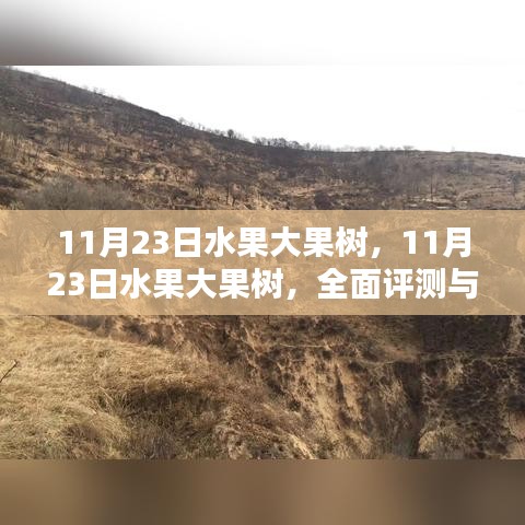 第2957页