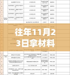 往年11月23日办理事务指南与经验分享，高效办理事务的秘诀揭秘！