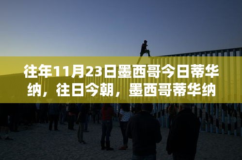 案例见证 第513页