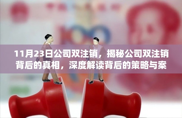 揭秘公司双注销真相，策略解读与案例分析