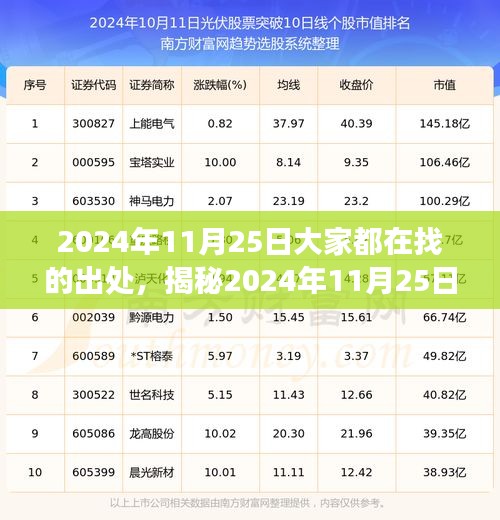 揭秘，2024年11月25日热门产品全方位解读及体验分享
