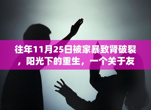 关于我们 第518页