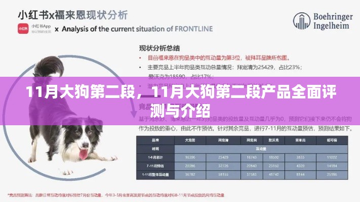 11月大狗第二段产品深度评测与介绍