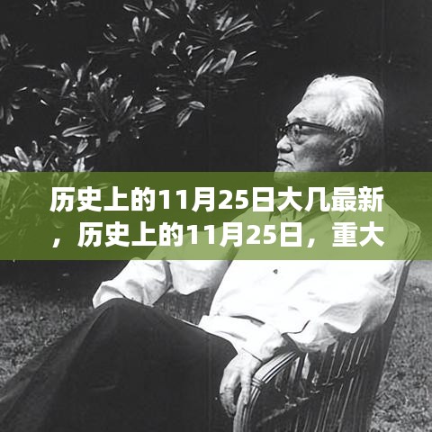 历史上的11月25日，重大事件回顾与解析的最新视角