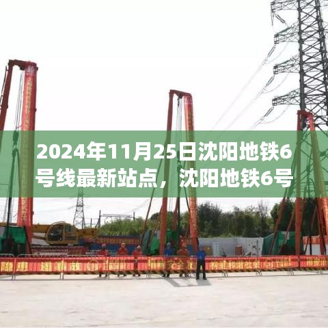 案例见证 第506页
