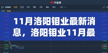 网店开店宝APP 第495页
