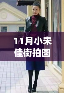 网店开店宝APP 第493页