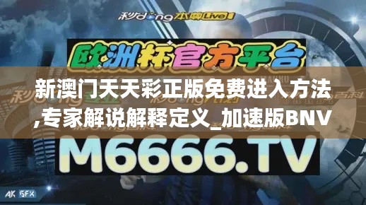 新澳门天天彩正版免费进入方法,专家解说解释定义_加速版BNV7.86