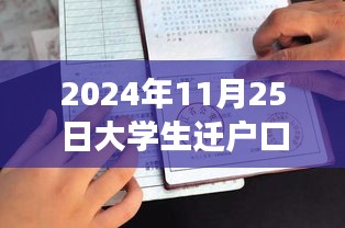 2024年11月25日大学生迁户口最新政策，2024年11月25日大学生迁户口最新政策解读与影响分析