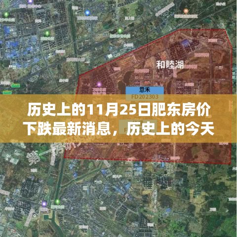 瞋目张胆 第5页