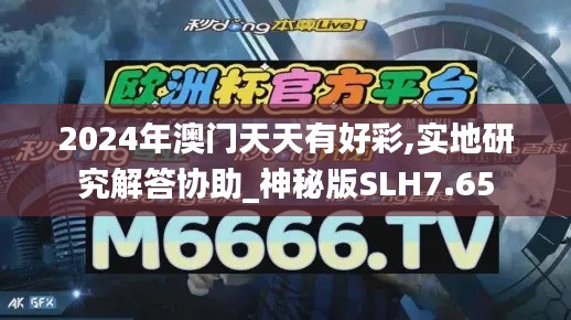 2024年澳门天天有好彩,实地研究解答协助_神秘版SLH7.65