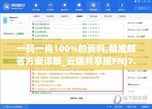 一码一肖100%的资料,精准解答方案详解_云端共享版FNJ7.17