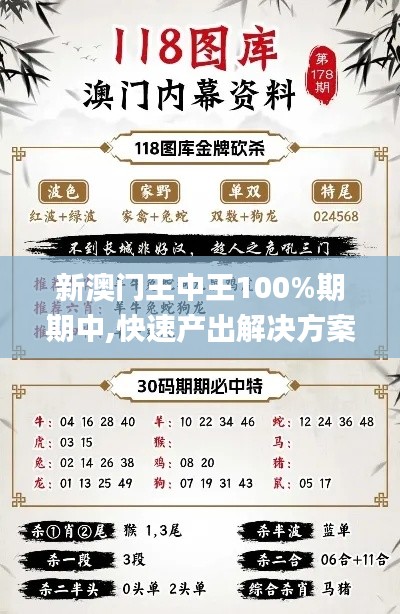 新澳门王中王100%期期中,快速产出解决方案_创意版KMP7.67