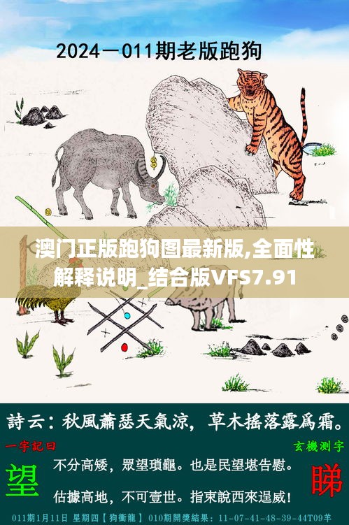 澳门正版跑狗图最新版,全面性解释说明_结合版VFS7.91