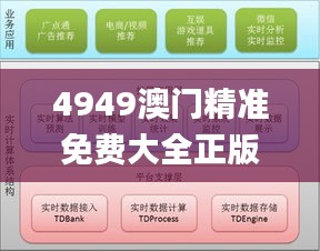 4949澳门精准免费大全正版,实时数据分析_零售版SHL7.24