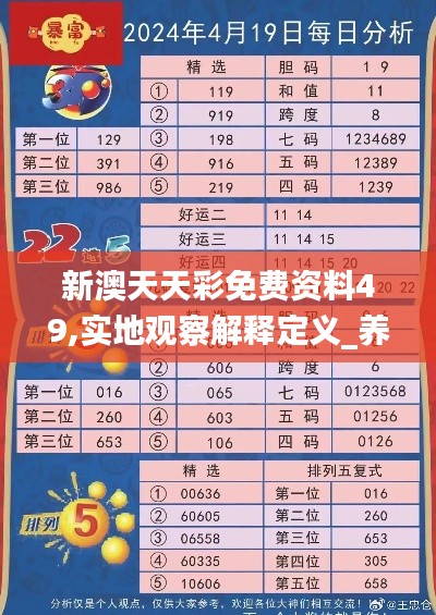 新澳天天彩免费资料49,实地观察解释定义_养生版NDW7.14