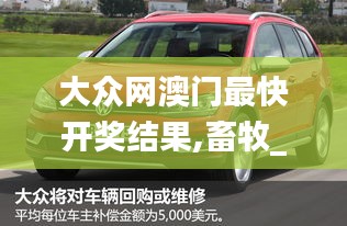 美轮美奂 第5页