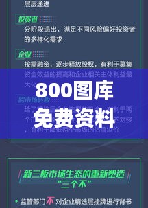 鸟面鹄形 第5页