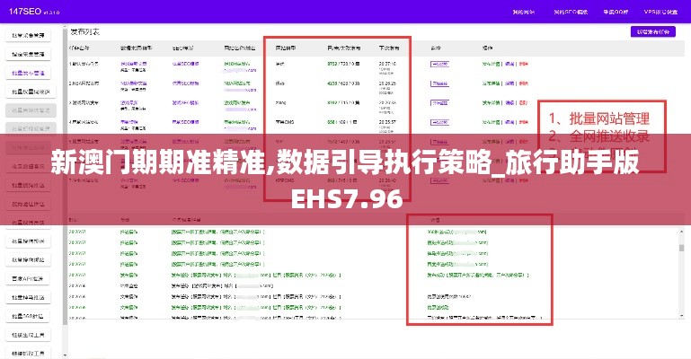 新澳门期期准精准,数据引导执行策略_旅行助手版EHS7.96