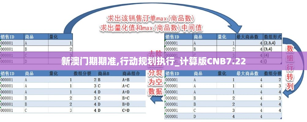 新澳门期期准,行动规划执行_计算版CNB7.22