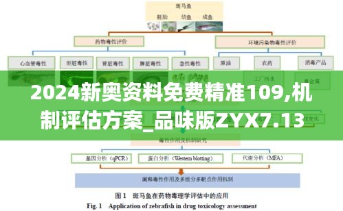 2024新奥资料免费精准109,机制评估方案_品味版ZYX7.13