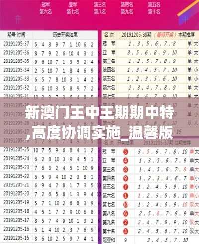 新澳门王中王期期中特,高度协调实施_温馨版HZI7.27