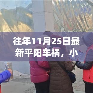 小红书热点揭秘，平阳车祸真相深度解析与事故背后细节曝光