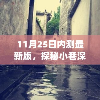 探秘小巷深处的独特风味，揭秘特色小店之旅内测最新版（11月25日）