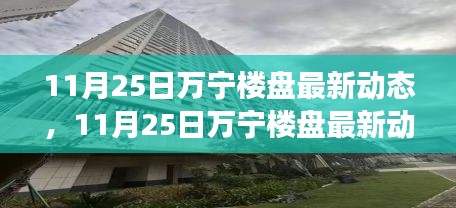 揭秘万宁房地产市场新趋势，楼盘最新动态与市场动态分析（11月25日）