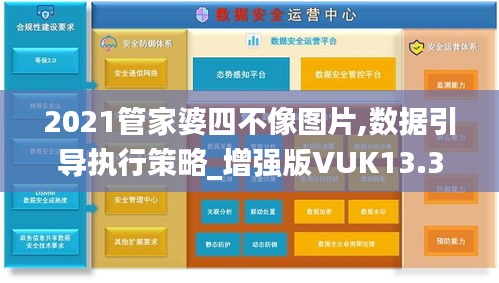 2021管家婆四不像图片,数据引导执行策略_增强版VUK13.31