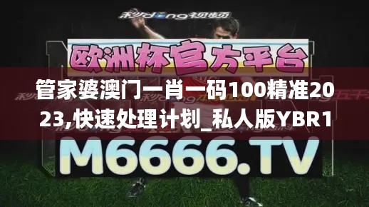 管家婆澳门一肖一码100精准2023,快速处理计划_私人版YBR13.30