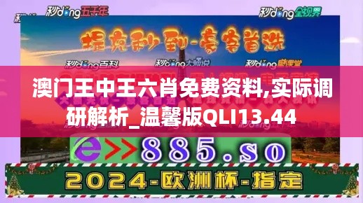 澳门王中王六肖免费资料,实际调研解析_温馨版QLI13.44