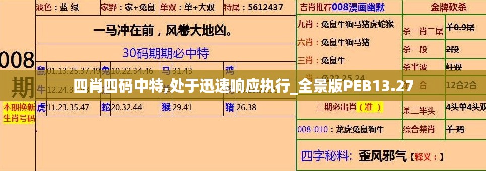 四肖四码中特,处于迅速响应执行_全景版PEB13.27