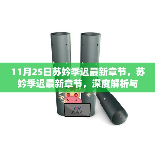苏妗季迟最新章节深度解析与观点探讨，11月25日更新