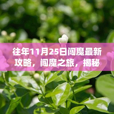 往年11月25日闯魔之旅最佳攻略，与自然共舞，寻找心灵净土的秘密之旅