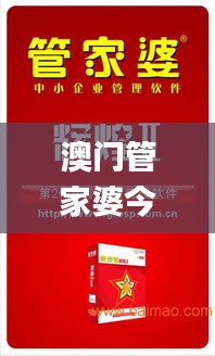 澳门管家婆今日最新的消息,实地研究解答协助_高效版TXL13.23