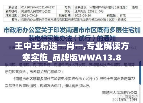 王中王精选一肖一,专业解读方案实施_品牌版WWA13.8