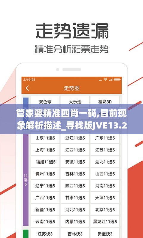 管家婆精准四肖一码,目前现象解析描述_寻找版JVE13.29