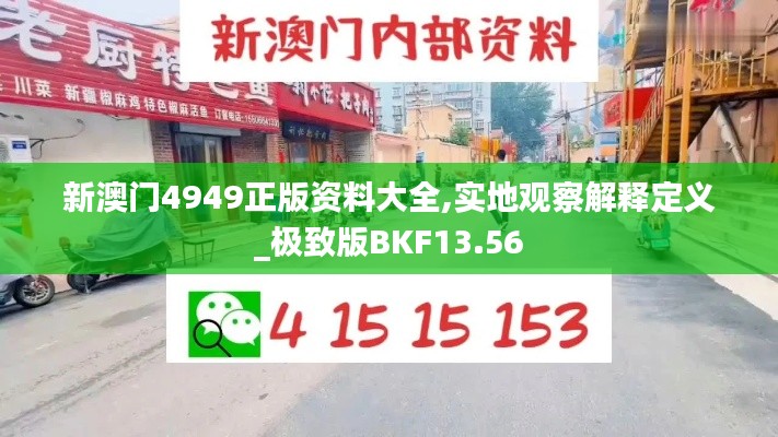 新澳门4949正版资料大全,实地观察解释定义_极致版BKF13.56