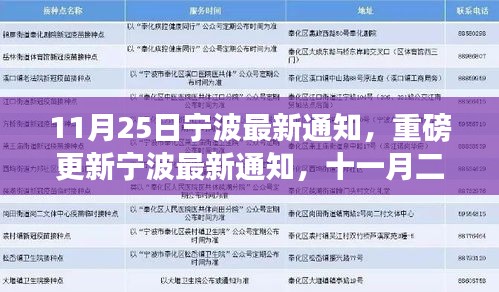 宁波最新通知解读，政策更新与影响洞察