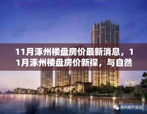 11月涿州楼盘房价最新消息，11月涿州楼盘房价新探，与自然美景共舞，寻找内心的宁静港湾