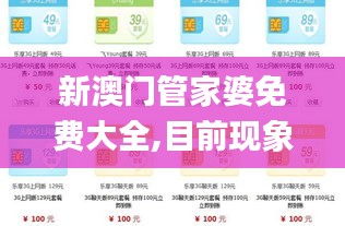 新澳门管家婆免费大全,目前现象解析描述_快速版NSL13.69