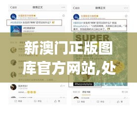 新澳门正版图库官方网站,处于迅速响应执行_程序版FAY13.98