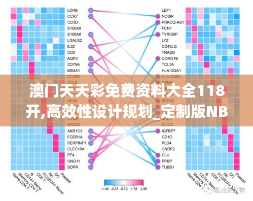 澳门天天彩免费资料大全118开,高效性设计规划_定制版NBT13.29