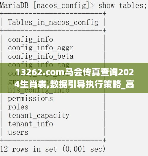 13262.соm马会传真查询2024生肖表,数据引导执行策略_高清晰度版UJX13.78