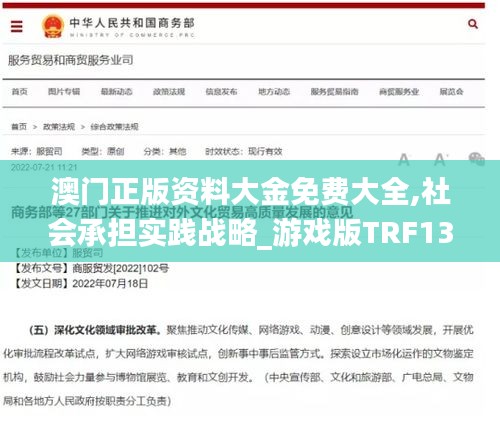 澳门正版资料大金免费大全,社会承担实践战略_游戏版TRF13.35