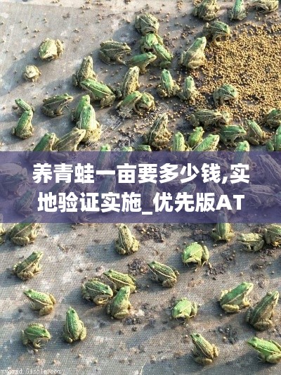 堂堂正正 第5页